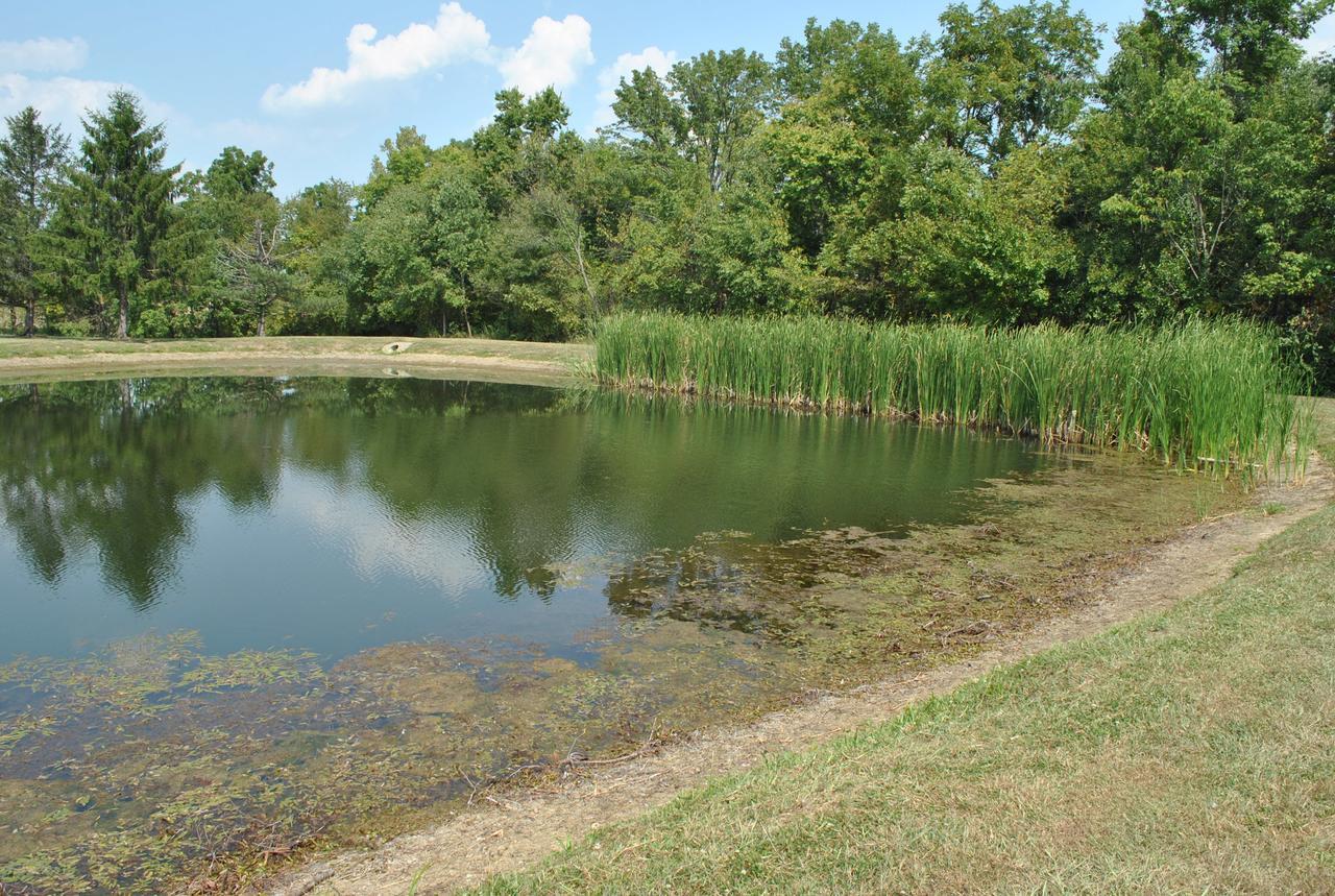 Wilmington Camping Resort Zewnętrze zdjęcie